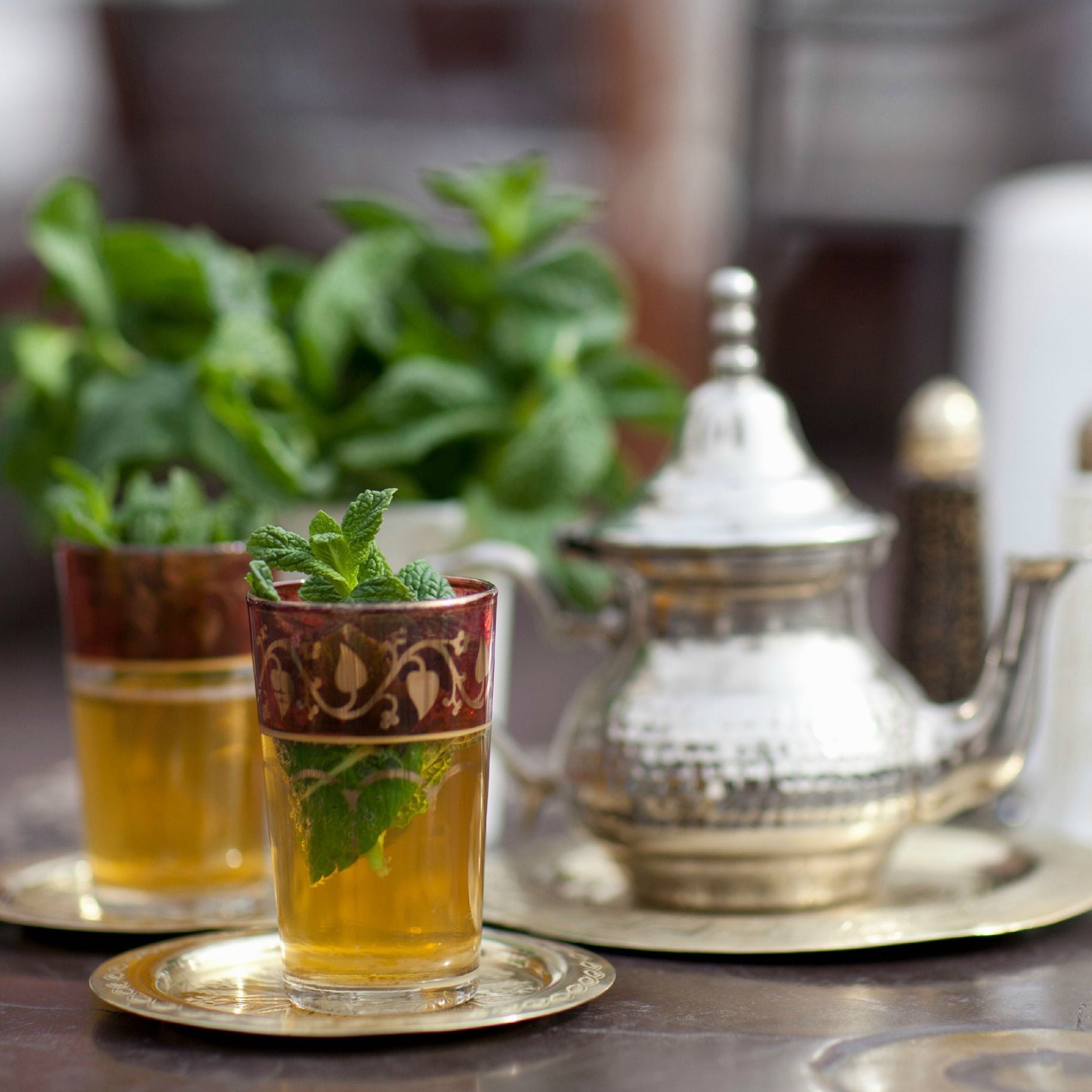 Moroccan Tea Large